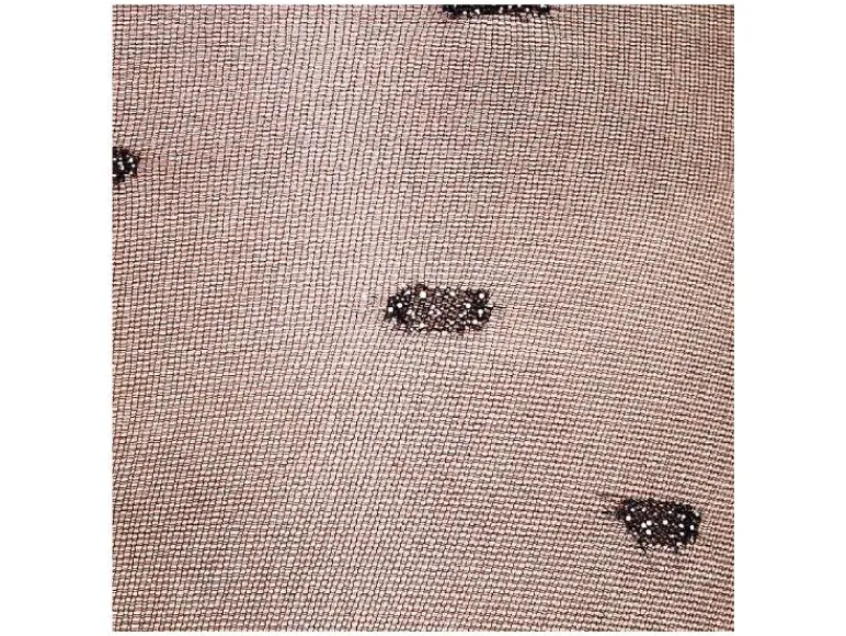 2 dames panty's<esmara® Online