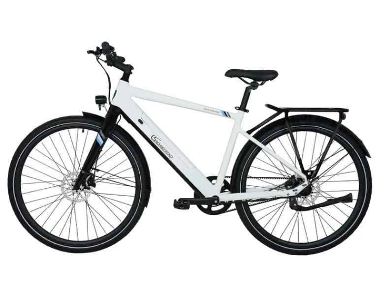 Elektrische fiets C3T Trekking<SachsenRad Clearance