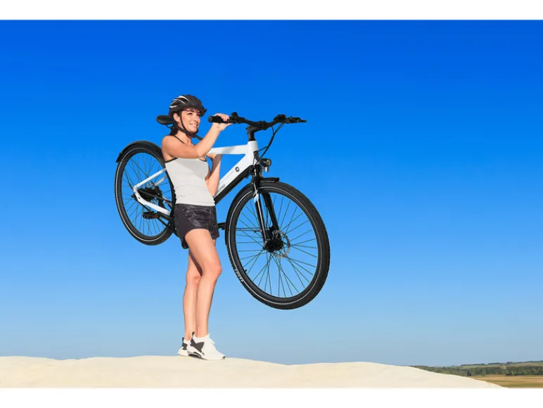 Elektrische fiets C3T Trekking<SachsenRad Clearance