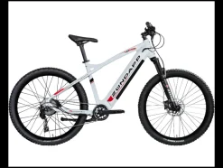 Elektrische mountainbike Z898<Zündapp Best