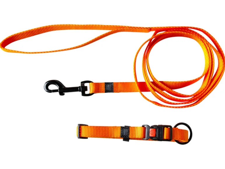 Halsband met lijn<Karlie Hot
