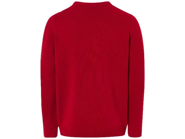 Heren kersttrui<LIVERGY® Best