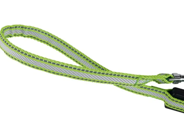 Honden rollijn met LED<zoofari® Online