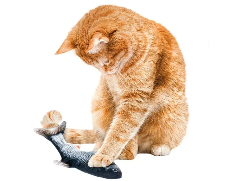 Kattenspeelgoed<zoofari® Clearance