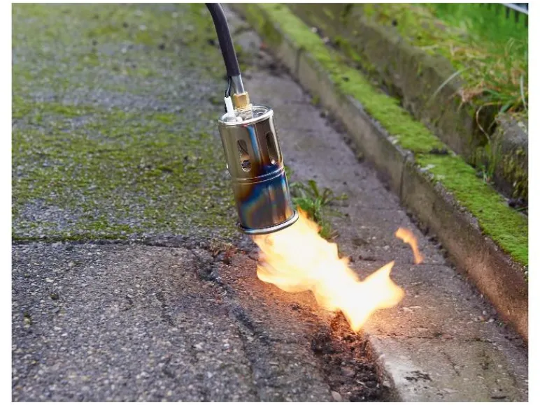 Onkruidbrander<PARKSIDE® Clearance