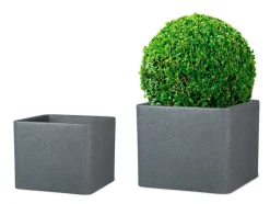 Plantenbak<Scheurich