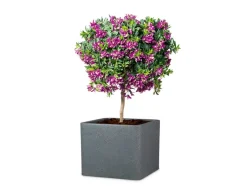 Plantenbak<Scheurich