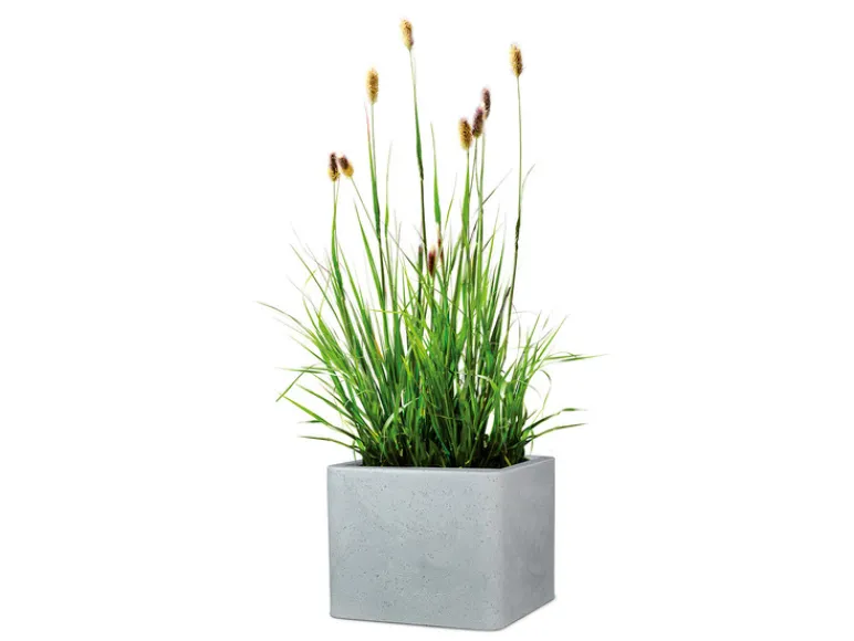 Plantenbak<Scheurich