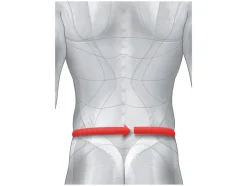 Rugbrace<sensiplast® Sale