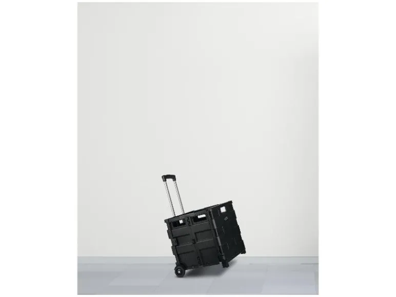 Trolley met krat<W5 Discount