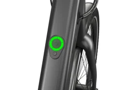Urban E-bike All Black 2.0 X riemaandrijving<CRIVIT