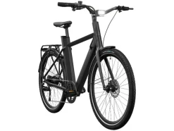 Urban elektrische fiets 3.0 X kettingaandrijving<CRIVIT Outlet